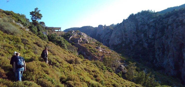 Ikaria Pathways 2016