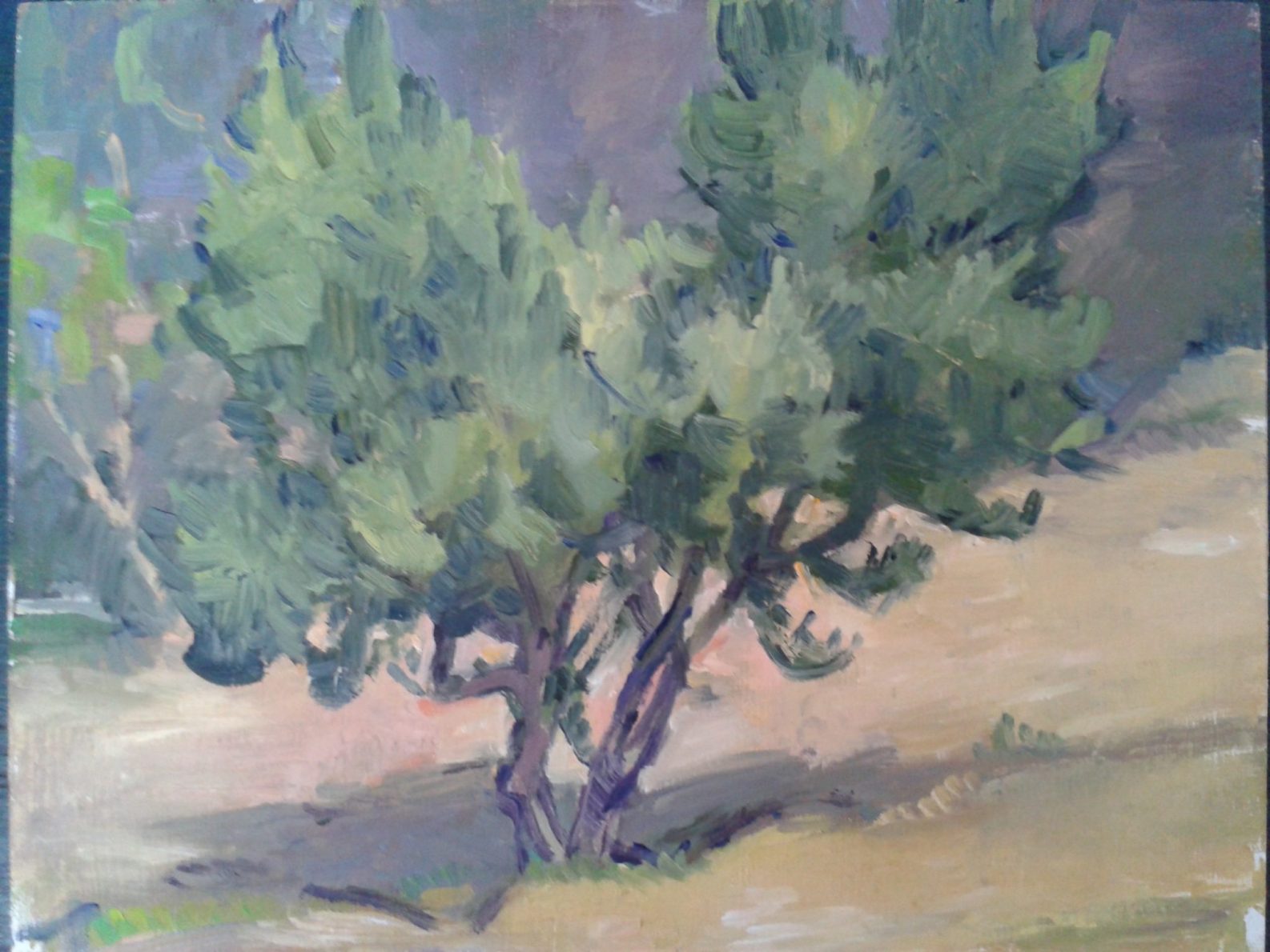 Host your course at Ikarian Centre