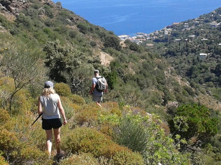 The Arethousa pathways project